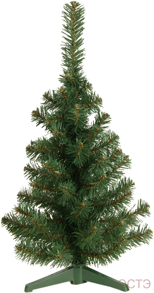 Настольные Ели Купить